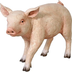 楽天市場 豚 リアルの通販