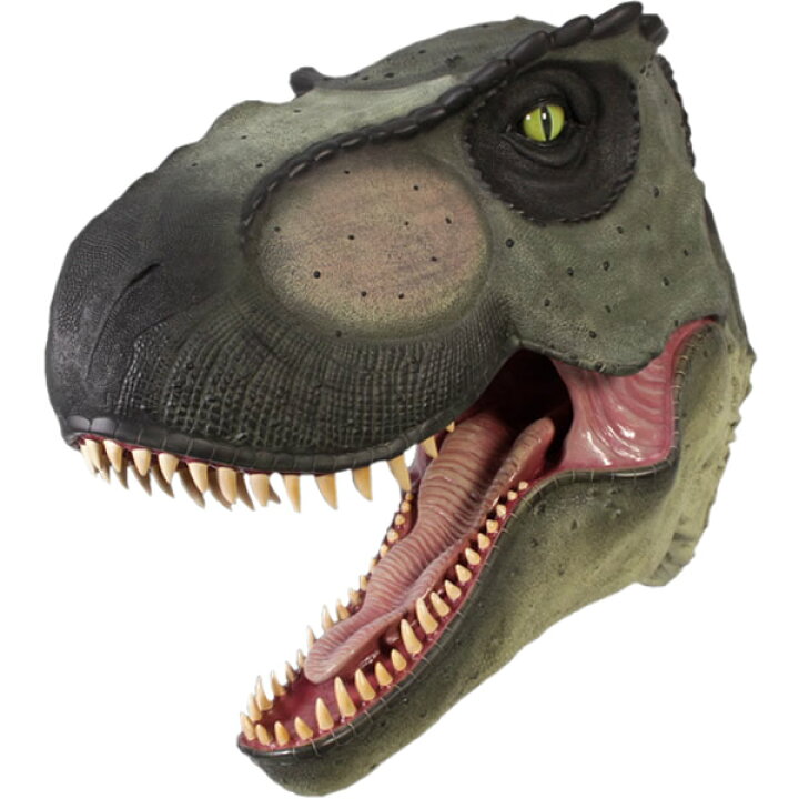 楽天市場 Frp恐竜オブジェ 巨大t Rexの頭部 置物 白亜紀 肉食恐竜 獣脚類 ティラノサウルス ティーレックス 標本 博物館 店舗 カフェ 喫茶店 レストラン 飲食店 インテリア イベント ディスプレイ 実物大 等身大 リアル Whlny 通販ショップcaruna