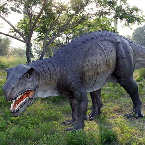 FRPIuWF |XgXNXu OI 嗳 ঒ W{  X Cxg fBXvC  g A ywhlnyz