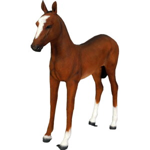 FRPAj}IuWF enu  E}   X JtF iX Xg HX CeA Cxg fBXvC  g A ywhlnyz