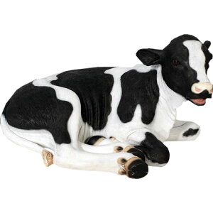 FRPAj}IuWF ey[zu  EV   X JtF iX Xg HX CeA Cxg fBXvC  g A gtBMA 