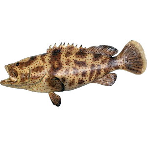 FRPAj}IuWF Cgn^y[zu   jZqg~n^  X JtF iX Xg HX CeA Cxg fBXvC  g A ywhlnyz