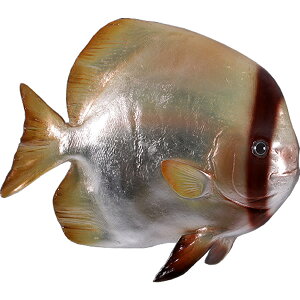 FRPAj}IuWF coEIu   ΂߂  X JtF iX Xg HX CeA Cxg fBXvC  g A ywhlnyz