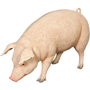 FRPAj}IuWF ꂳ؁y[zu  u^ Ԃ  X JtF iX Xg HX CeA Cxg fBXvC  g A gtBMA ywhln