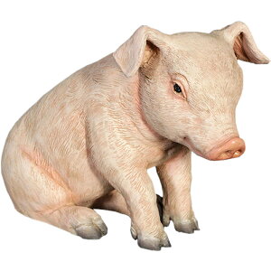 FRPAj}IuWF q؁y[zu  u^ Ԃ  X JtF iX Xg HX CeA Cxg fBXvC  g A ywhlnyz