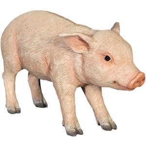 FRPAj}IuWF オq؁y[zu  u^ Ԃ  X JtF iX Xg HX CeA Cxg fBXvC  g A gtBM