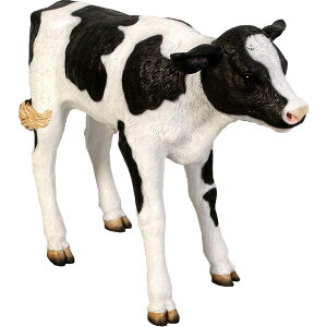 FRPAj}IuWF ܂ꂽĂ̓y[zu  EV   X JtF iX Xg HX CeA Cxg fBXvC  g A gtBM