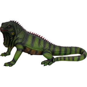 FRPAj}IuWF COAiiju   ঒  X JtF iX Xg HX CeA Cxg fBXvC  g A ywhlnyz