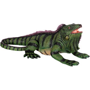 FRPAj}IuWF COAiy[zu   X JtF iX Xg HX CeA Cxg fBXvC  g A ywhlnyz