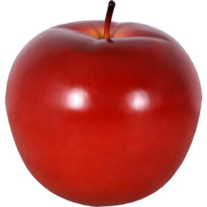 FRPIuWF ԃSE80cmu ʕ t[c ь  X Cxg fBXvC  g A ywhlnyz