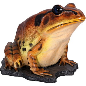 FRPAj}IuWF ȎȑKGu  ^    X JtF iX Xg HX CeA Cxg fBXvC  g A ywhlnyz