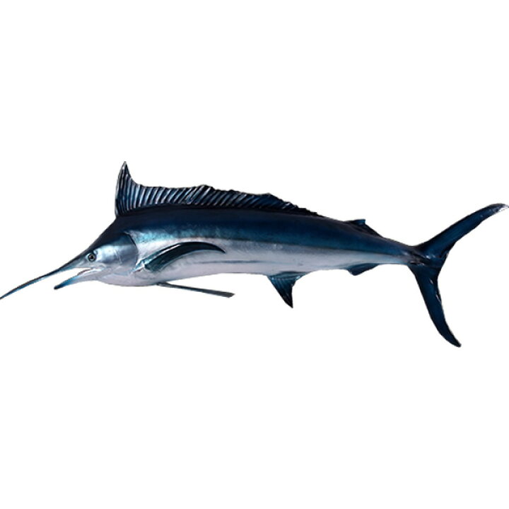 楽天市場】FRPアニマルオブジェ ブルーマーリン【即納可】置物 動物 魚 