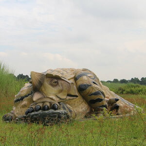 FRPIuWF@ALITEX@u WI H  ALTEX W{  X JtF iX Xg HX CeA Cxg fBXvC  