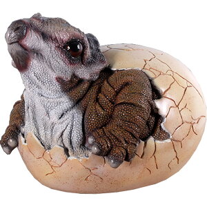 FRPIuWF zgPgvXy[zu I H p  W{  X Cxg fBXvC  g A gtBMA ywhlnyz