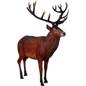 FRPAj}IuWF XƂYu  VJ   X JtF iX Xg HX CeA Cxg fBXvC  g A ywhlnyz