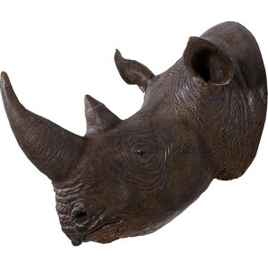 FRPAj}IuWF TC̓u    X JtF iX Xg HX CeA Cxg fBXvC  g A ywhlnyz