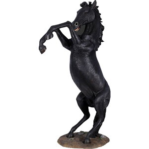 FRPAj}IuWF EsYnu  E}   X JtF iX Xg HX CeA Cxg fBXvC  g A ywhlnyz