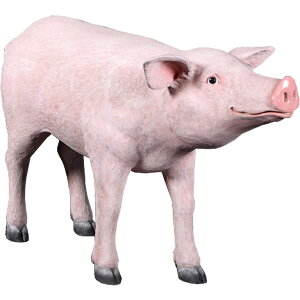 FRPAj}IuWF ؁y[zu  u^ Ԃ  X JtF iX Xg HX CeA Cxg fBXvC  g A gtBMA ywhln