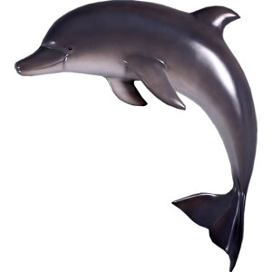 FRPAj}IuWF CJEǊ|py[zu   C 邩   X JtF iX Xg HX CeA Cxg fBXvC  g A y