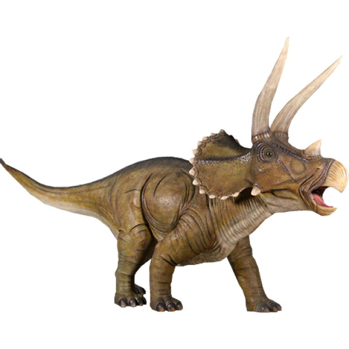 楽天市場 Frp恐竜オブジェ 巨大トリケラトプス 置物 白亜紀 草食恐竜 角竜類 標本 博物館 店舗 イベント ディスプレイ 実物大 等身大 リアル Whlny 通販ショップcaruna