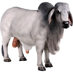 FRPAj}IuWF oYEOCu  EV   X JtF iX Xg HX CeA Cxg fBXvC  g A ywhlnyz