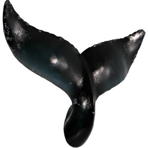 FRPAj}IuWF Ǌ|NW̔тu   ~   X JtF iX Xg HX CeA Cxg fBXvC  g A ywhlnyz