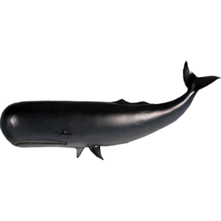 楽天市場】FRPアニマルオブジェ 小型版・壁掛けクジラ置物 動物 魚 鯨 