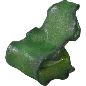 FRPIuWF qp[t`FAu K[ft@j`[ ֎q CX t  X Cxg fBXvC  g A ywhlnyz