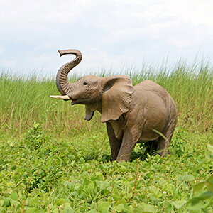 FRPAj}IuWF qہy[zu  ]E   X JtF iX Xg HX CeA Cxg fBXvC  g A ywhlnyz