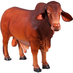 FRPAj}IuWF htg}X^[Yu  EV   X JtF iX Xg HX CeA Cxg fBXvC  g A ywhlnyz