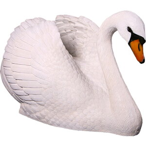 FRPAj}IuWF u   nN`E ͂傤  X JtF iX Xg HX CeA Cxg fBXvC  g A ywhlnyz