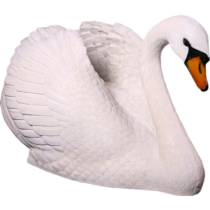 楽天市場】FRPアニマルオブジェ 白鳥置物 動物 鳥 ハクチョウ はく 