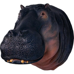 FRPAj}IuWF Ǌ|EJo̓u  ͔n    X JtF iX Xg HX CeA Cxg fBXvC  g A ywhlnyz