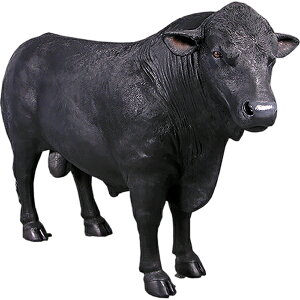 FRPAj}IuWF AKXEu  EV   X JtF iX Xg HX CeA Cxg fBXvC  g A ywhlnyz