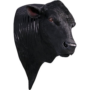 FRPAj}IuWF AKX̓y[zu  EV    X JtF iX Xg HX CeA Cxg fBXvC  g A gt