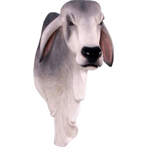 FRPアニマルオブジェ バラモン牛の頭部/壁掛け・グレー置物 動物 ウシ うし 剥製 動物園 店舗 カフェ 喫茶店 レストラン 飲食店 インテリア イベント ディスプレイ 実物大 等身大 リアル 【whl
