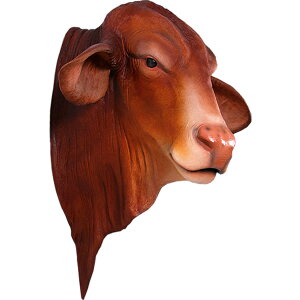 FRPAj}IuWF htg}X^[Y̓EǊ|u  EV    X JtF iX Xg HX CeA Cxg fBXvC  g A 