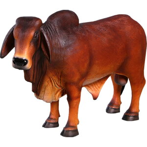 FRPAj}IuWF ^oEuEu  EV   X JtF iX Xg HX CeA Cxg fBXvC  g A ywhlnyz