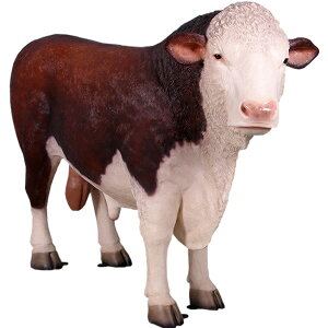 FRPAj}IuWF wtH[h̗Yu  EV   X JtF iX Xg HX CeA Cxg fBXvC  g A ywhlnyz