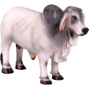 FRPAj}IuWF ~jou  EV   X JtF iX Xg HX CeA Cxg fBXvC  g A ywhlnyz