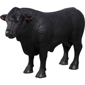 FRPAj}IuWF ^AKXEy[zu  EV   X JtF iX Xg HX CeA Cxg fBXvC  g A ywhlnyz