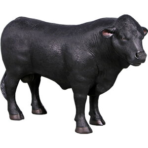 FRPAj}IuWF ^AKXEEu  EV   X JtF iX Xg HX CeA Cxg fBXvC  g A gtBMA 