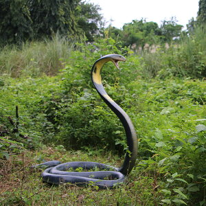 FRPAj}IuWF Ruy[zu  ঒  wr ւ Ŏ  X JtF iX Xg HX CeA Cxg fBXvC  g A gt