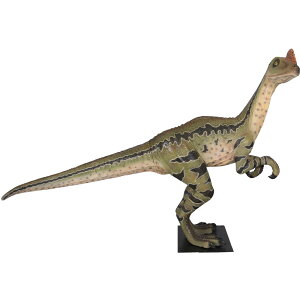 FRPIuWF fBOEphNTXu I H br eBmTEX W{  X Cxg fBXvC  g A ywhlnyz