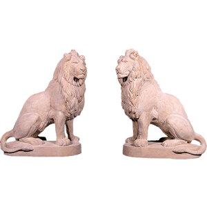 FRPIuWF 郉CIu  Α CI 炢 Sb̉ [}Xg[dグ X Cxg fBXvC  g A ywhlnyz