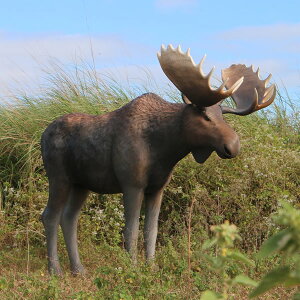 FRPAj}IuWF [Xu   VJ  AJwWJ  X JtF iX Xg HX CeA Cxg fBXvC  g A ywhlnyz