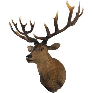 FRPAj}IuWF ̓u  VJ    X JtF iX Xg HX CeA Cxg fBXvC  g A ywhlnyz