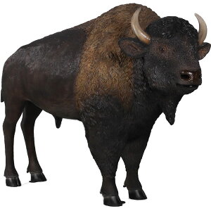 FRPAj}IuWF AJoC\u  EV     X JtF iX Xg HX CeA Cxg fBXvC  g A ywhlnyz