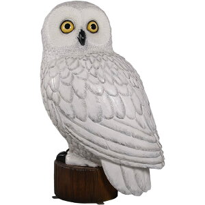 FRPAj}IuWF VtNEu  Ƃ g   ӂ낤  X JtF iX Xg HX CeA Cxg fBXvC  g A ywhlnyz