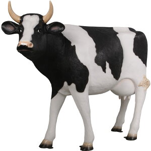 FRPAj}IuWF 127cmu  EV   X JtF iX Xg HX CeA Cxg fBXvC  g A gtBMA ywhlnyz